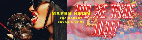шишки Вязники