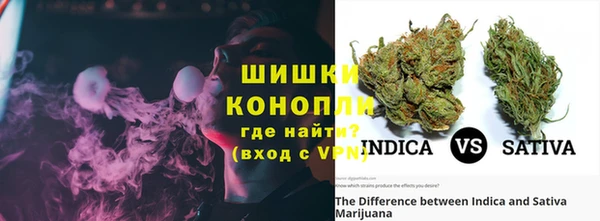 шишки Вязники