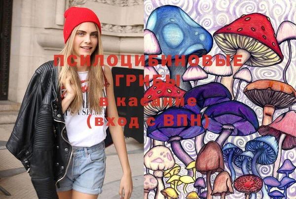 ешки Вязьма