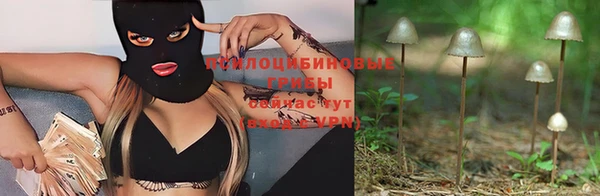 шишки Вязники