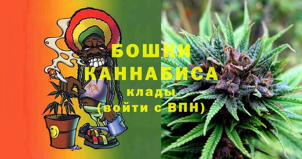 шишки Вязники