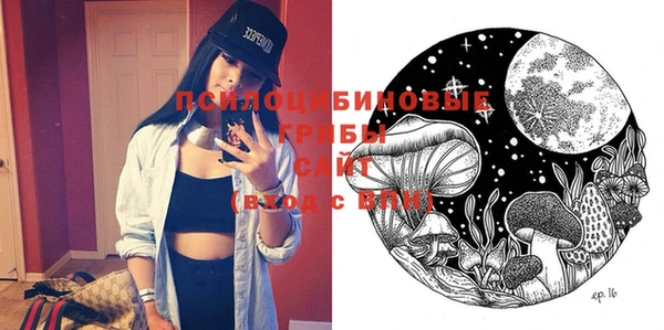 ешки Вязьма
