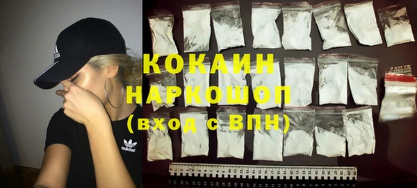 шишки Вязники